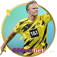 666vn bet