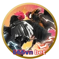 666vn bet