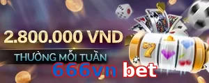 666vn bet